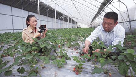 北京培訓(xùn)直播